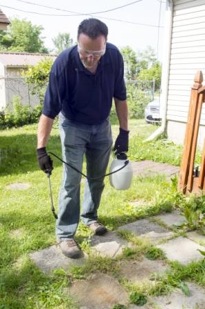 spraying weed killer